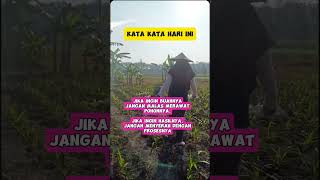 Kata kata hari ini shortvideo hiburan lucu masyaallahtabarakallah [upl. by Stokes]