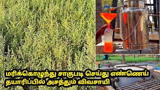 தவனம் விவசாயம் செய்து எண்ணெய் தயாரிப்பில் அதிக லாபம்  davanam cultivation in tamil  marikolunthu [upl. by German]