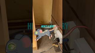 Best MOUSE TRAP DON’T use POISON diy mousetrap pestcontrol [upl. by Brocky]