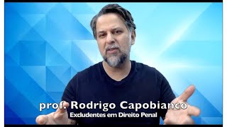 Excludentes em Direito Penal [upl. by Desi443]