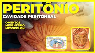 PERITÔNIO cavidade peritoneal omento mesentério e mesocolon [upl. by Aluk]