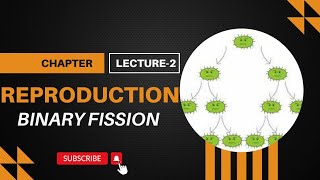 Binary fission with exampleslecture02 class10 biology bioclass [upl. by Hgieliak306]