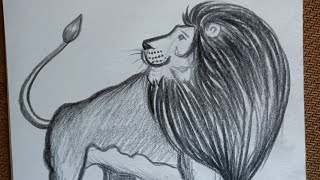 Lion pencil sketch  how to draw lion [upl. by Noroj]