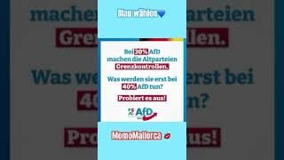 Sei schlau wähl blau 🩵👍🏻 afd [upl. by Rickie]