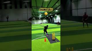 Dismissals 🫨 DAY 2  HIGHLIGHTS cricket cricketlover indoorcricket sports viralvideo [upl. by Timmy614]