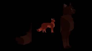 Błękitna Gwiazda x Dębowe Serce wojownicy warriorcats cat wariorcats warriors edit wcue [upl. by Einehpets251]