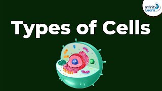 Types of Cells  Dont Memorise [upl. by Anis4]