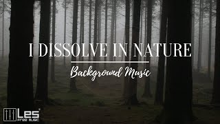 I dissolve in nature  Ambient Acoustic Meditative Peaceful Background Music [upl. by Uwton]