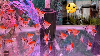 Why to use water conditioner for fish tank How to make tap water safe for fish by removing Chlorine [upl. by Amak]