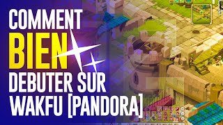 WAKFU Bien débuter sur le MULTI PANDORA [upl. by Meagan712]