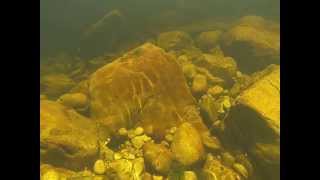 Following a fish underwater in Bains Kloof South Africa [upl. by Obbard908]