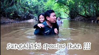 Sungai 145 species ikan   River of 145 fish species Vlog 21 [upl. by Enuahs]