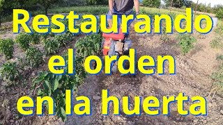 Restaurando nuestra huerta después de las tormentas [upl. by Erinna]