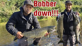 Chum Salmon BOBBER DOWN First Cast [upl. by Halda750]