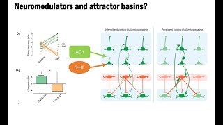 Cognitive and behavioral attractors dynamical systems theory as a lens for systems neuroscience [upl. by Amandie]