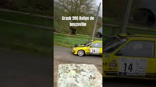 Crash 205 Rallye de beuzeville 2024 es1 [upl. by Dhumma]