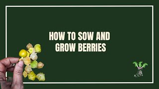 How to Sow and Grow Berries [upl. by Bob812]