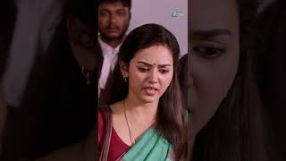 Watch full video👆 Kannagi Super Scenes  vidyapradeep budha divorce uietamilscenes shorts [upl. by Olbap]