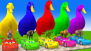 5 Giant Duck CartoonCowElephantGiraffeTigerLion Paint Wild Animals Crossing Fountain Animation [upl. by Rexana245]