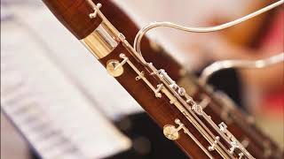 Johann David Heinichen  Sonata for Oboe Bassoon and Basso Continuo in G Minor [upl. by Daniala376]