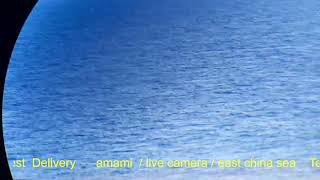 奄美 ライブカメラ 東シナ海 amami  live camera  east china sea [upl. by Waal127]