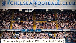 Chelsea FC song  Blue day  Suggs Singing LIVE at Stamford Bridge  09Septembe2023 chelsea [upl. by Eahsram]