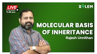 MOLECULAR BASIS OF INHERITANCE  R U  XYLEM LEARNING [upl. by Johnathon]