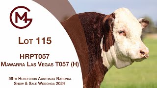 Lot 115 Mawarra Las Vegas T057 H [upl. by Ardnaeed498]