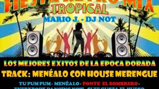 RETRO MIX  MENEALO CON HOUSE MERENGUE  MARIO J [upl. by Puglia136]