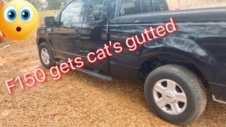 Gutting cats on a f150 [upl. by Oglesby]