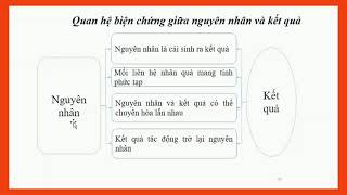 Phạm trù Nguyên nhân và kết quả  Ví dụ  Phân tích  Liên hệ [upl. by Notlrac]