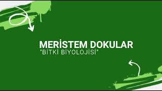 AYT BİTKİ BİYOLOJİSİ meristem dokular [upl. by Ais]