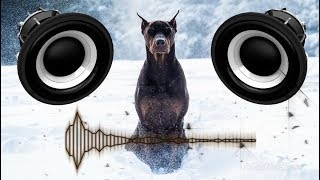 ZHU  JET THE DOBERMAN BassBOOST [upl. by Dopp]