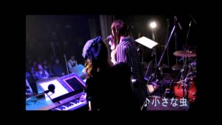 実験台モルモット「小さな虫」LIVE [upl. by Candis]