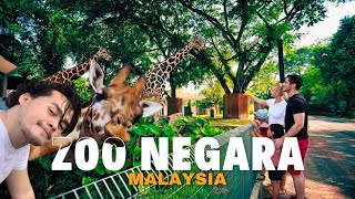 Zoo Negara Kuala Lumpur Walking Tour around this National Zoo of Malaysia  Travel [upl. by Kcaz]