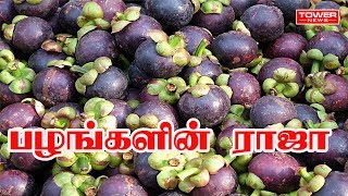 பழங்களின் ராஜா  மங்குஸ்தான் பழத்தில் இவ்ளோ பயன்களா  Mangustan fruit health benefits [upl. by Newman]