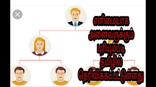 NETWORK MARKETING FULL EXPLAIN IT TAMIL LANGUAGE EXCLUSIVES DONT MISS IT [upl. by Bowes439]