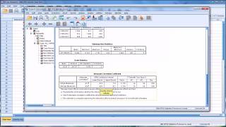 Determining InterRater Reliability with the Intraclass Correlation Coefficient in SPSS [upl. by Laehplar]