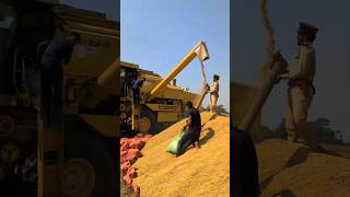 New Holland Combine Harvester combine harvester combineharvester shorts [upl. by Aluk]