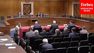 CBO And GAO Chiefs Testify Before Senate Appropriations Committee [upl. by Wooldridge]