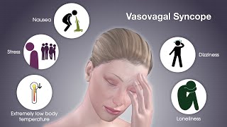 What is Vasovagal Syncope  Dr David P Rapaport NYC [upl. by Kohn]