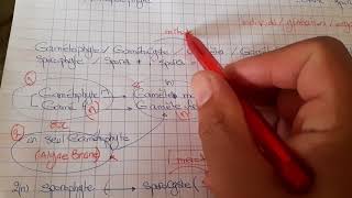 Cycle de developpement thallophytes partie 1 et fecondation [upl. by Nastassia178]