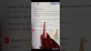 Adjectives class 3rd english Goyal brothers [upl. by Kcirderf591]