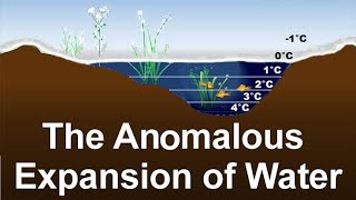 ANOMALOUS EXPANSION OF WATER [upl. by Arit]