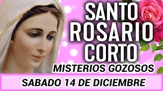 Santo Rosario Corto de Hoy Sabado 14 de Diciembre 🌼 Misterios Gozosos🌼 [upl. by Floria]