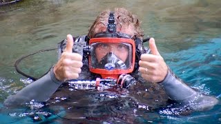 Shark Diving with The Hoff [upl. by Barram]