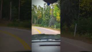 Cruise out to the lake Leaves are looking pretty fallcolors whiteshell timelapse lotw canada [upl. by Gimpel451]