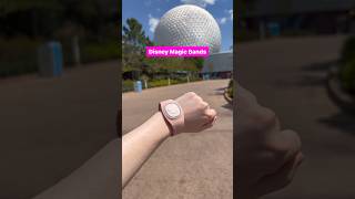 How Disney MagicBands Work 🏰✨ disneyworld disneytips [upl. by Saunderson]