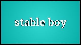 Stable boy Meaning [upl. by Gnay]