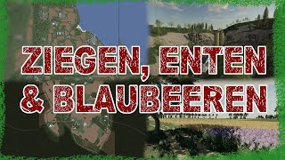 ZIEGEN ENTEN amp BLAUBEEREN🚜2 NEUE MAPS🔥LS19FS19🔴HD👀KONSOLEPC💥 [upl. by Nosidam]